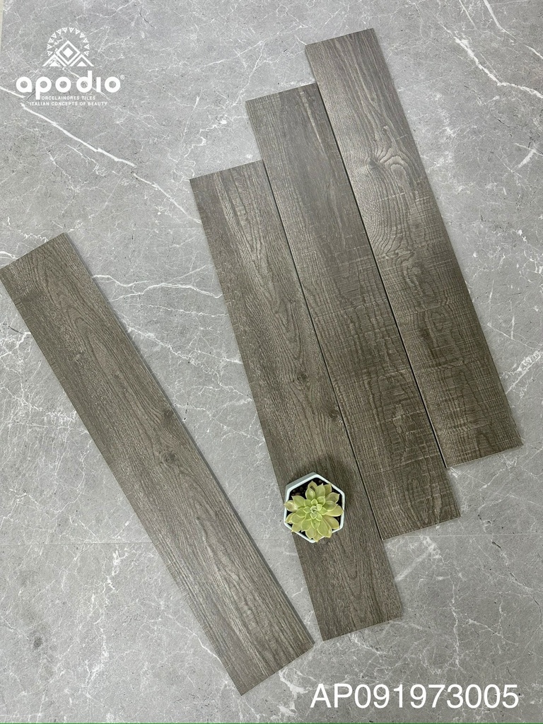 Gạch ốp lát Apodio AP 091973005 (15x90 cm)