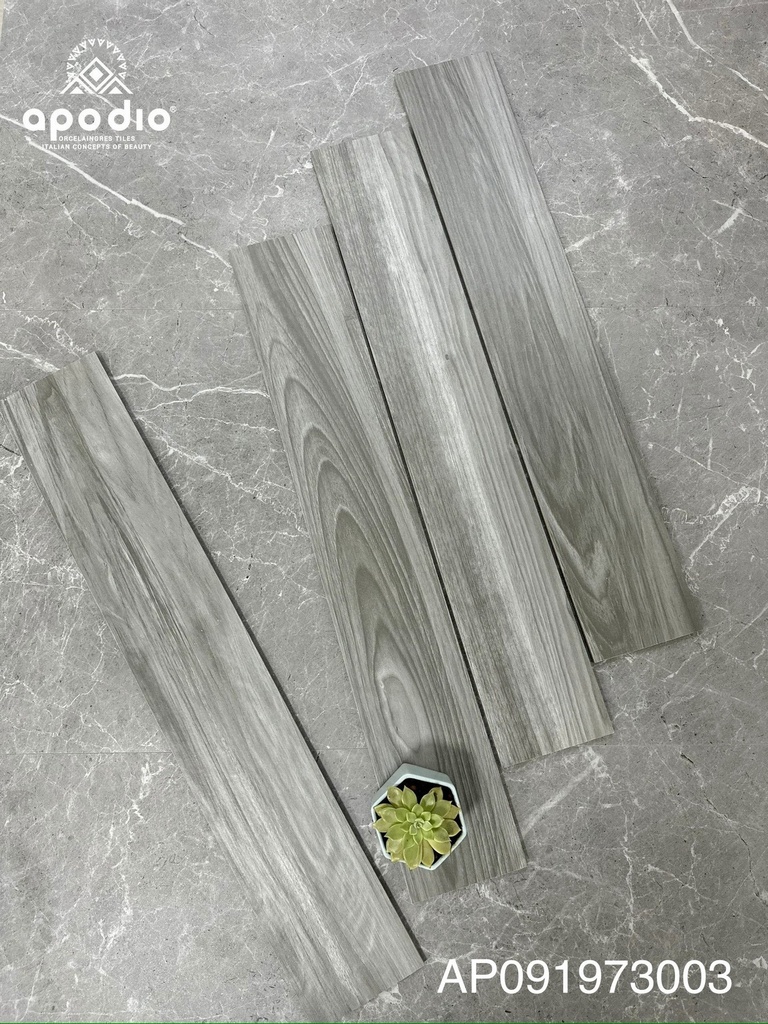 Gạch ốp lát Apodio AP 091973003 (15x90 cm)