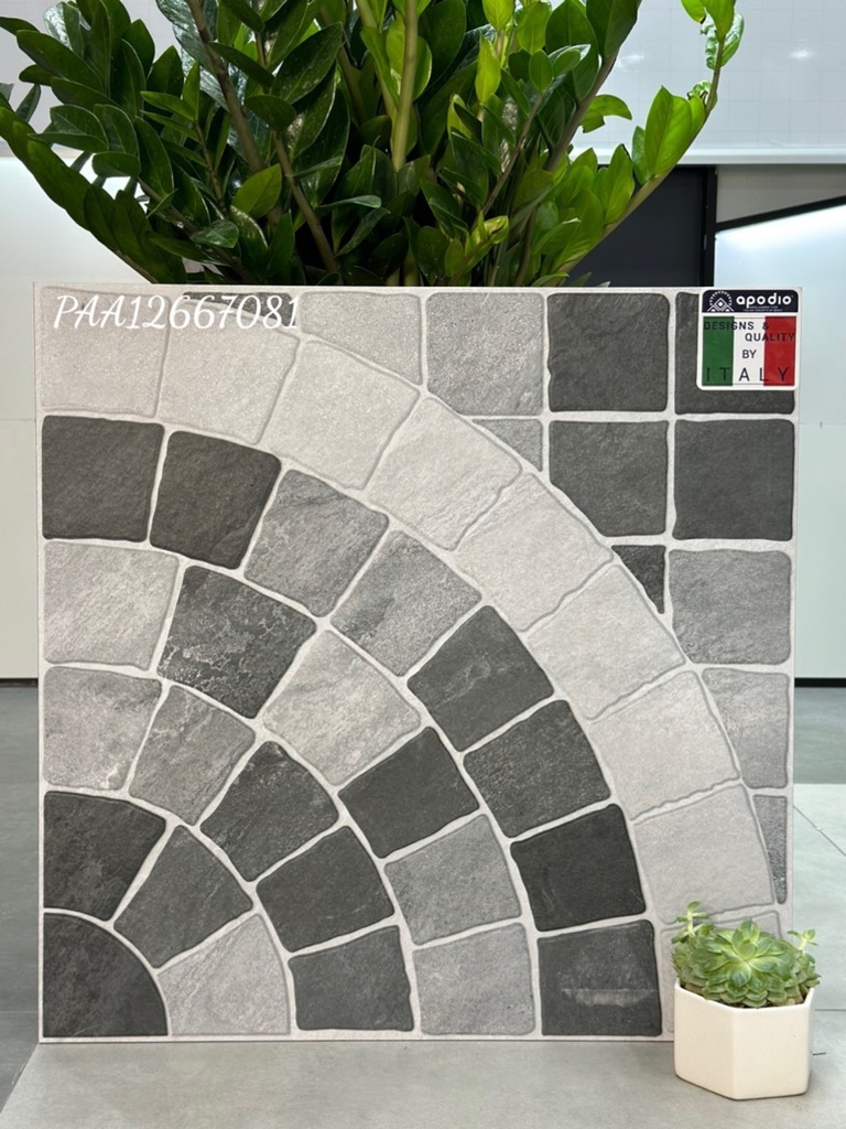 Gạch ốp lát Apodio PAA12667081 (dày 12mm)