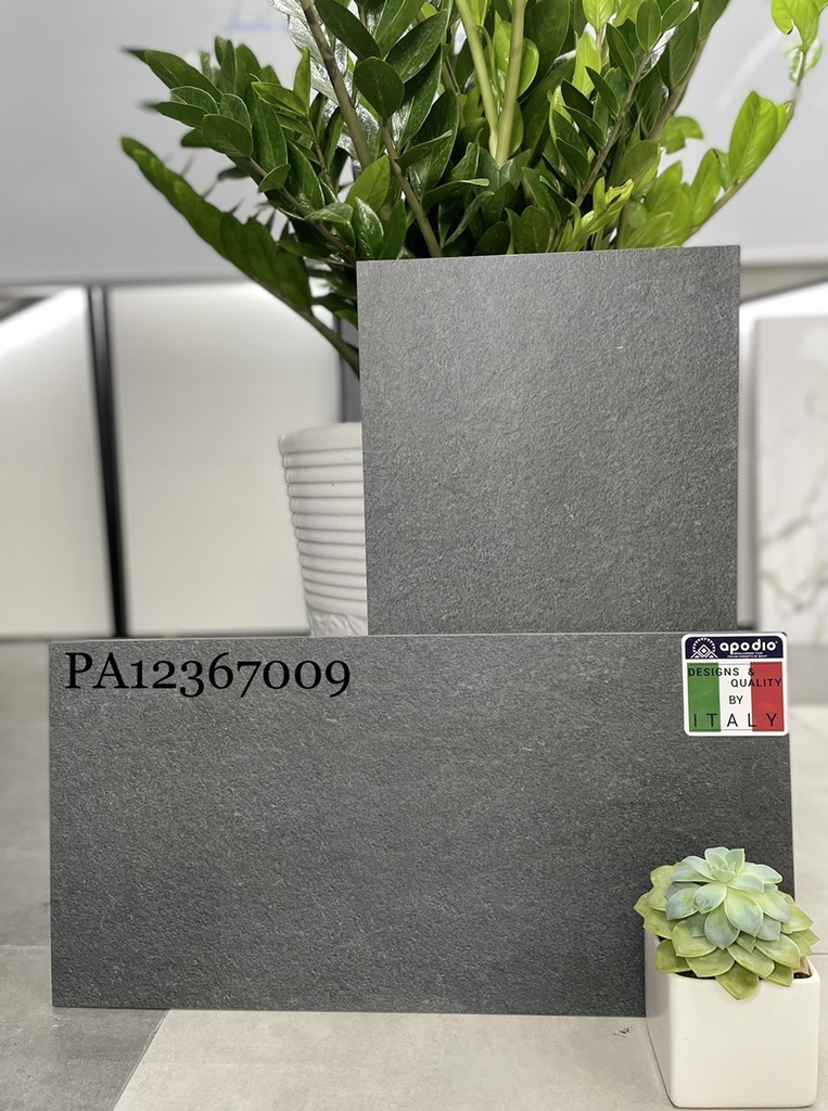 Gạch ốp lát Apodio PA12367009 (dày 12mm)