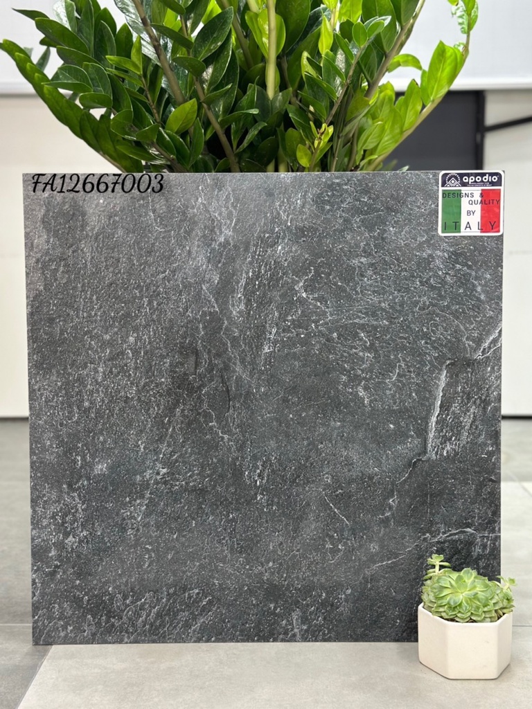 Gạch ốp lát Apodio FA12667003 (dày 12mm)