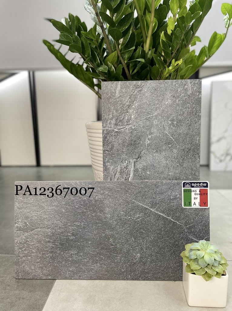 Gạch ốp lát Apodio PA12367007 (dày 12mm)