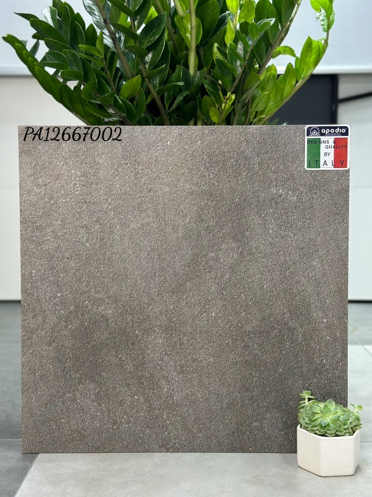 Gạch ốp lát Apodio PA12667002 (dày 12mm)