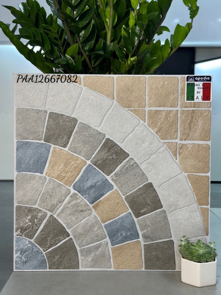 Gạch ốp lát Apodio PAA12667082 (dày 12mm)