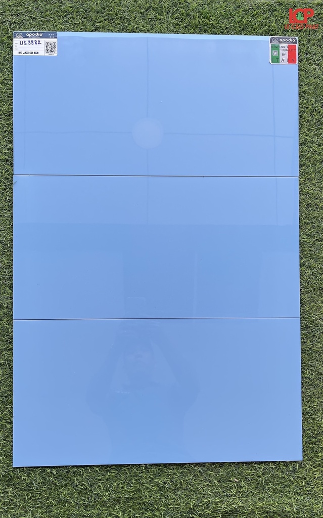 Gạch ốp lát Apodio US 3982 (5.5mm)