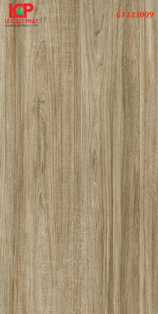 Gạch ốp lát Apodio 61333009