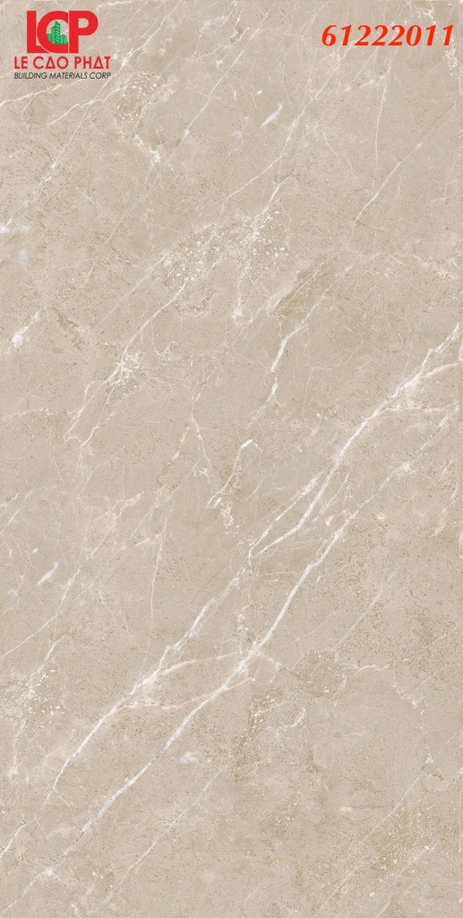 Gạch ốp lát Apodio 61222011