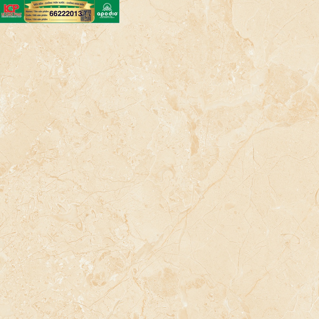 Gạch ốp lát Apodio 66222013
