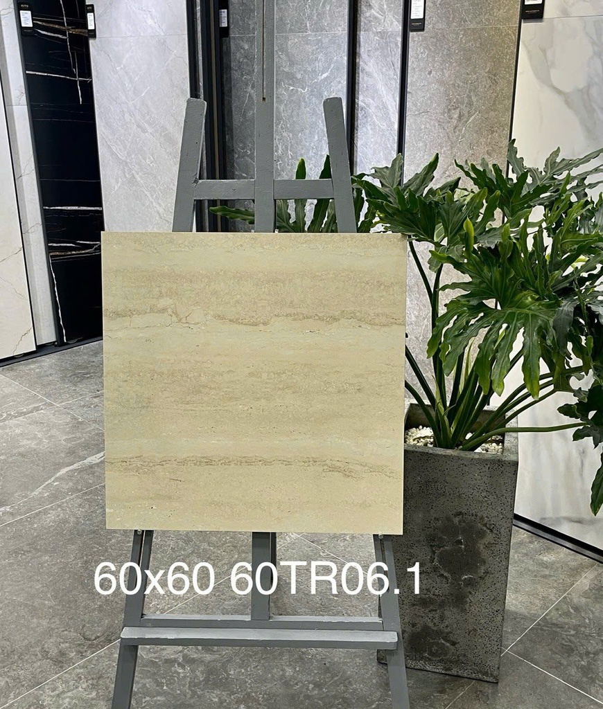 Gạch ốp lát 600x600 mã 60TR06