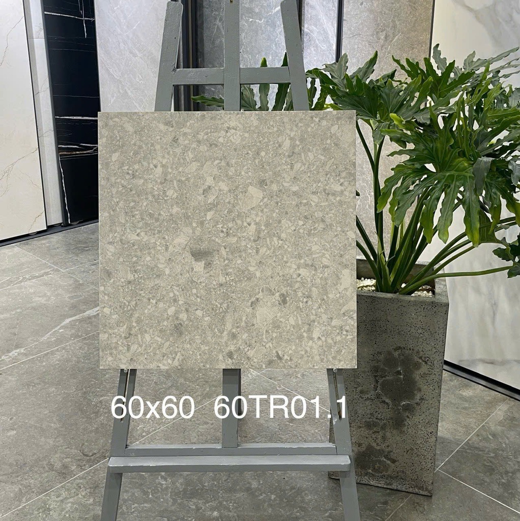 Gạch ốp lát 600x600 mã 60TR01