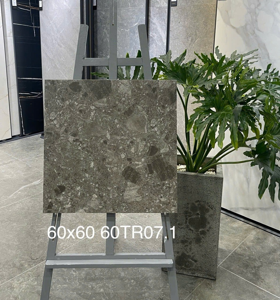 Gạch ốp lát 600x600 mã 60TR07