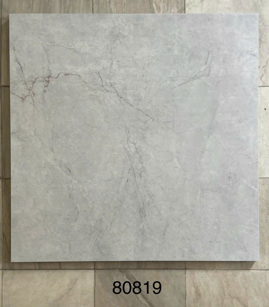 Gạch ốp lát 600x600 mã 80819
