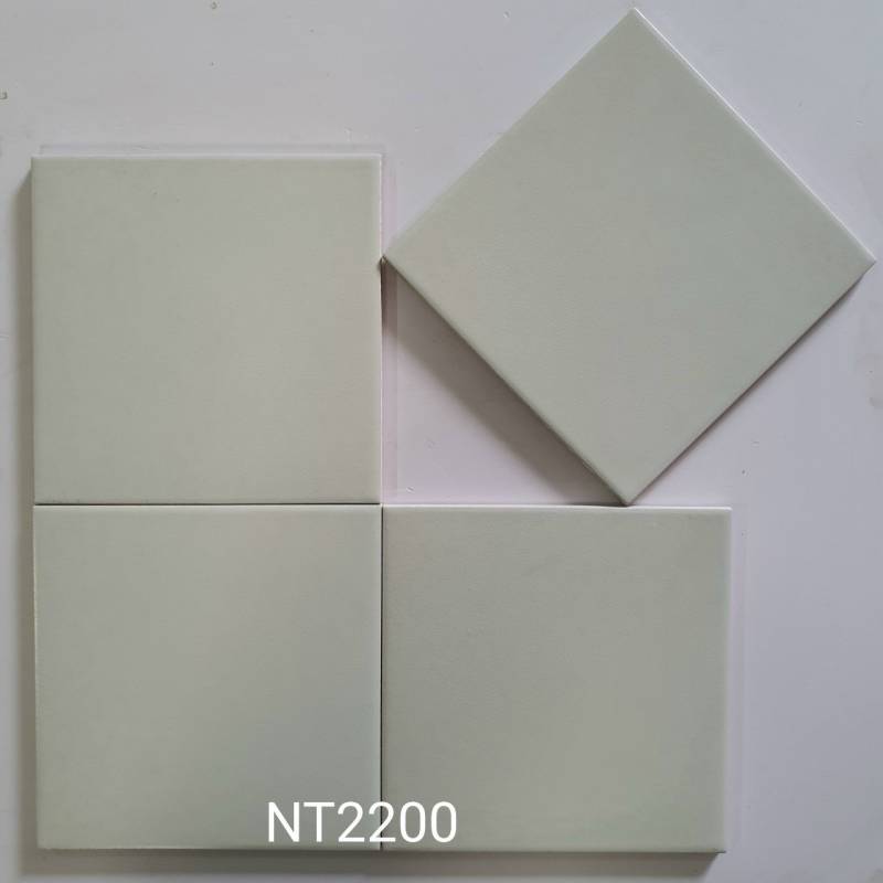 Gạch bông men ốp lát 20x20cm NT2200