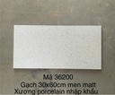 Gạch Terrazo porcelain men matt 300x600mm (1h/1.44m/8v)