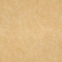 Gạch lát nền taicera 30×30 g38916nd