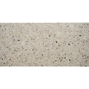 Gạch Terrazzo IN306115