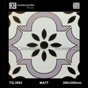 Gạch ốp lát 300×300 TQ-3063