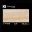 Gạch ốp lát 300×600 AD-P306012