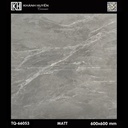 Gạch ốp lát 600×600 TQ-66053