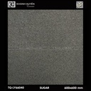 Gạch lát nền 600×600 TQ-LY 66040