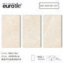 Gạch ốp lát Eurotile BST Nguyệt Cát 450*900mm NGC-I04